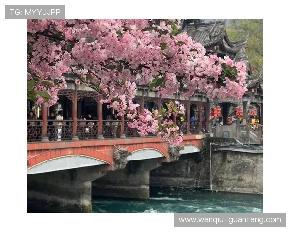 篮球滚球盘避坑指南 彩票数字高频玩法防骗